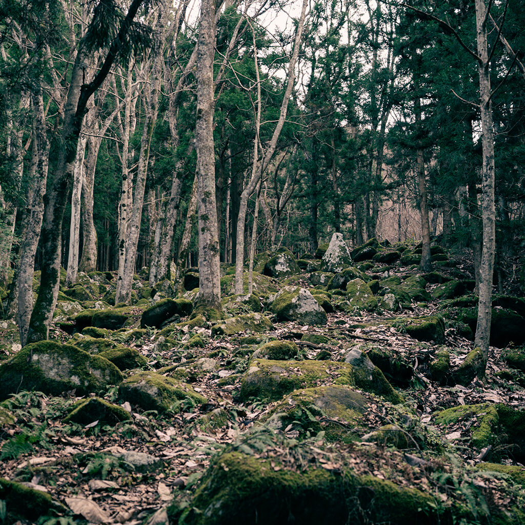 どぶろくと遠野食材のディナー